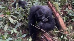 La vacanza in Uganda di Samuele Ricci: tra sorprese e meraviglie