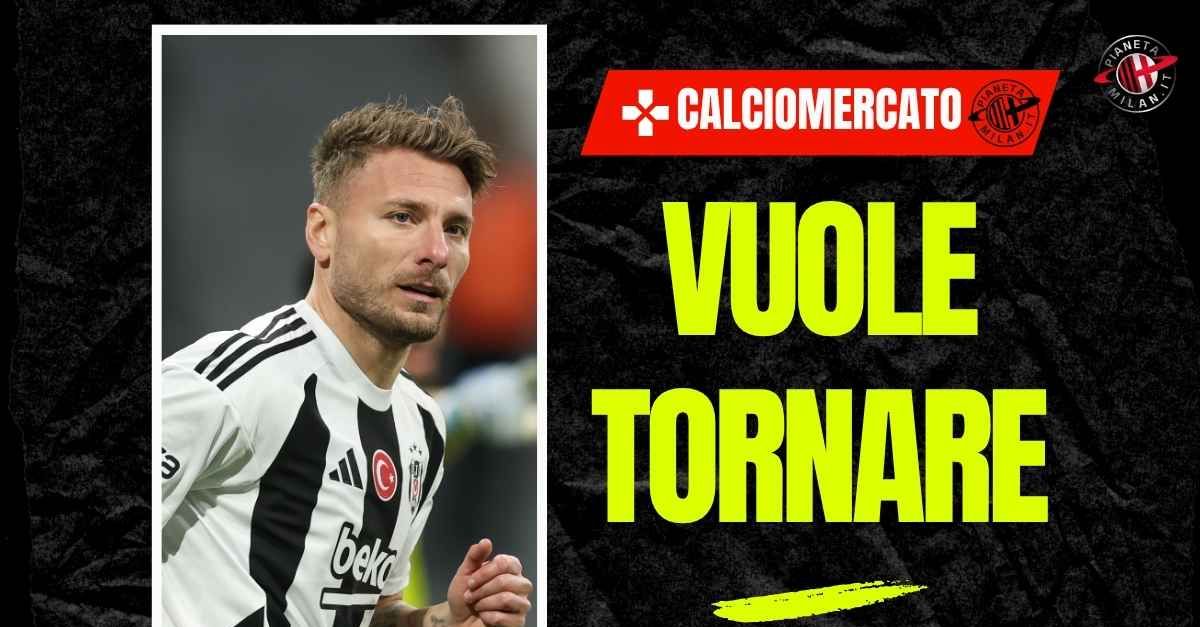 Calciomercato, Immobile verso il Milan? Pedullà fa chiarezza sul tema Calciomercato, Immobile verso il Milan? Pedullà fa chiarezza sul tema