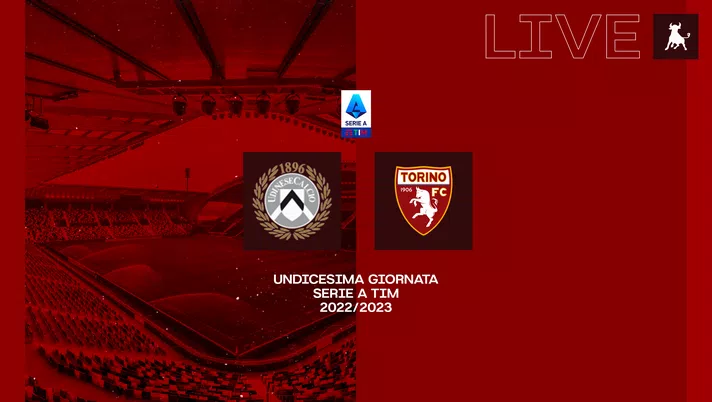 FINALE! Udinese-Torino 1-2 - immagine 1