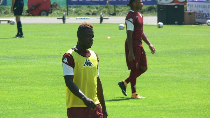 Calciomercato, conferme: dietrofront Torino, Acquah per ora non si vende - immagine 1