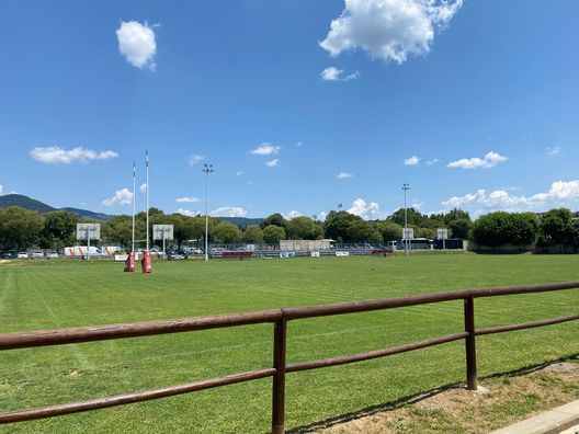 Fiorentina, servono 4,4 milioni per giocare al Padovani. E Commisso che dice?- immagine 2