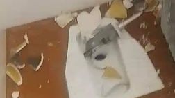 Montevarchi-Sangiovannese, danni e vandalismi da derby: la sindaca denuncia…