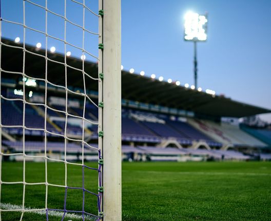 Il nuovo Franchi: tempi e costi. A giugno si inizia, poi tutto sul Padovani- immagine 2