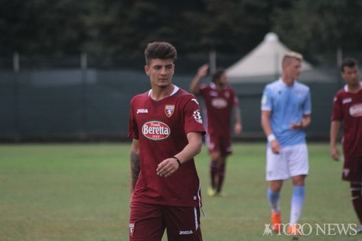 Cancello Torino Primavera