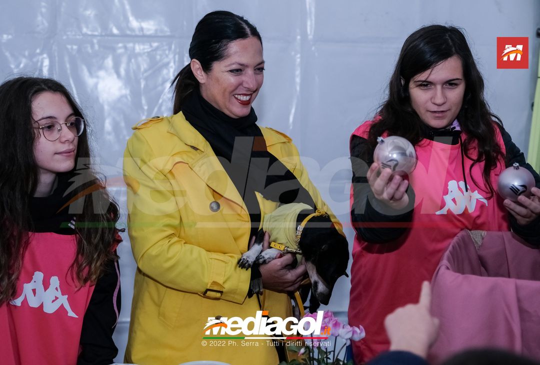 FOTO Palermo: Accardi, Saric e Gomes accendono l’albero al ‘Barbera’ (Gallery) - immagine 89