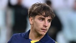 Chi gioca e chi no nel Parma: conferme per Cuesta, da Bernabé a Cutrone e Pellegrino