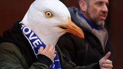 Un gabbiano ad Anfield! Tifoso del Brighton mascherato assiste al match contro il Liverpool
