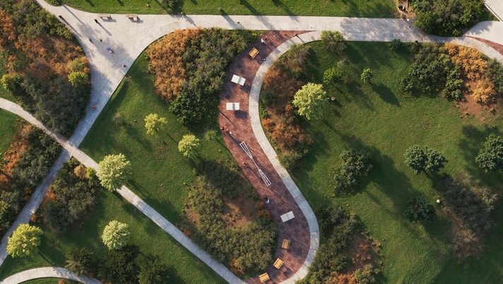 Stadio della Roma, il bosco non rallenterà il progetto. C’è anche l’ok della Regione - immagine 1