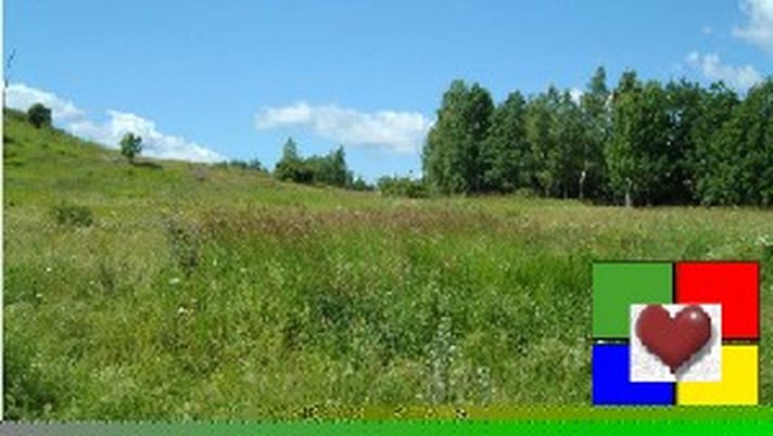 L’estate sta finendo - immagine 1