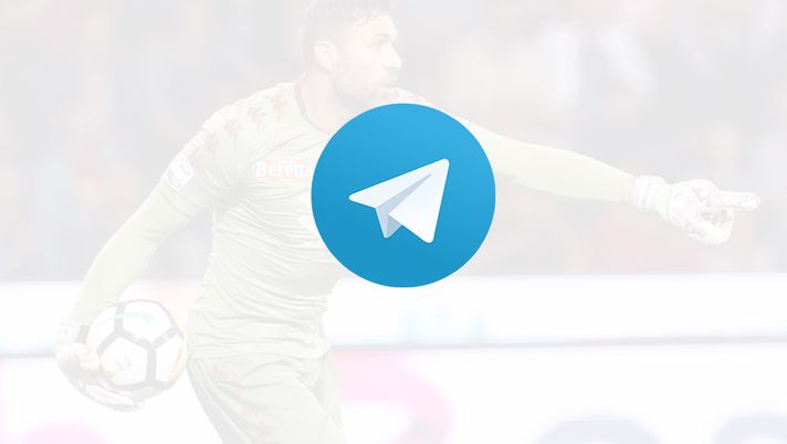 Toro News su Telegram: le migliori news direttamente sul tuo smartphone! - immagine 1