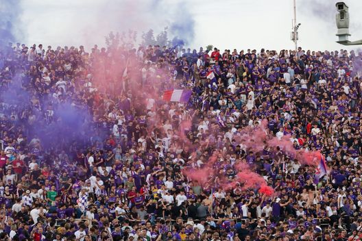 I numeri della campagna abbonamenti viola, dati superiori allo scorso anno- immagine 2