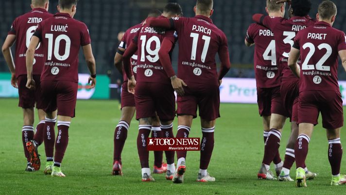 Questo Toro non può non piacere - immagine 1