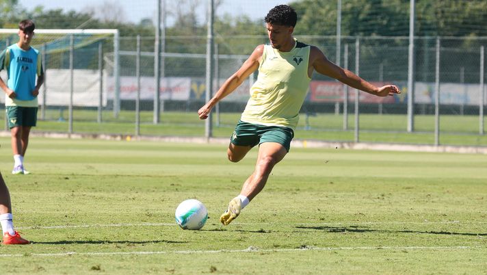 Harroui recupera, può andare in panchina con il Pisa - immagine 1