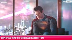 VIDEO/ Superman, Krypto il Supercane sarà nel film