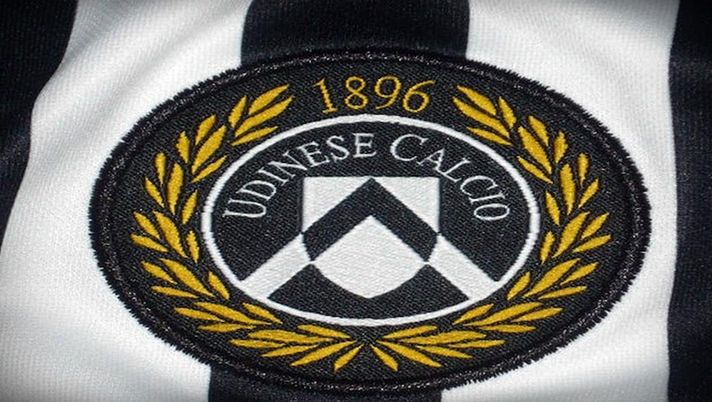 ANSA – Calcio, notizia a sorpresa: Udinese venduta a fondo USA. La cifra per i Pozzo ANSA – Calcio, notizia a sorpresa: Udinese venduta a fondo USA. La cifra per i Pozzo - immagine 1