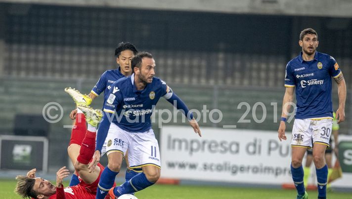 Cittadella-Verona, le formazioni ufficiali Cittadella-Verona, le formazioni ufficiali - immagine 1