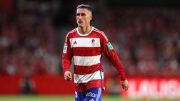 Callejon, segnali di ritiro? L’ex Napoli rescinderà il contratto col Granada