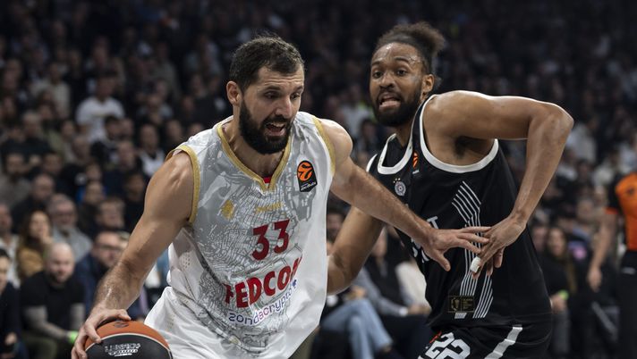 Partizan-Bayern in diretta streaming gratis: dove vedere la partita - immagine 1