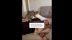 VIDEO / Icardi si riposa e dorme, il gatto “passeggia” su di lui