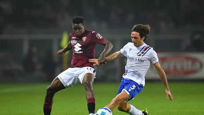 Toro, con la Samp serve continuità: i blucerchiati hanno giocatori d’esperienza - immagine 1