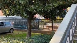 Lazio-Bologna, l’arrivo del pullman biancoceleste allo Stadio Olimpico – VIDEO