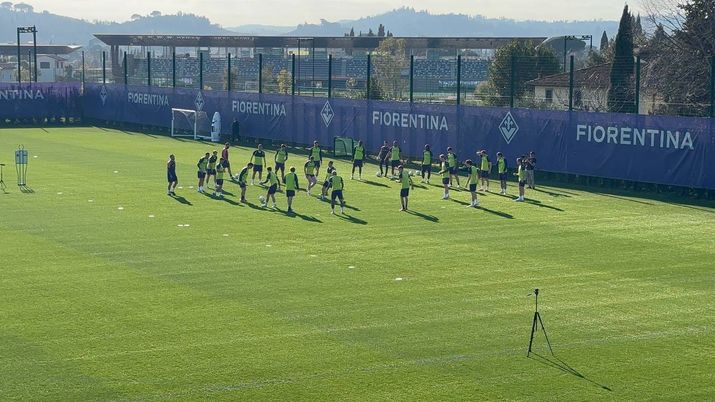 Fiorentina torello Viola Park
