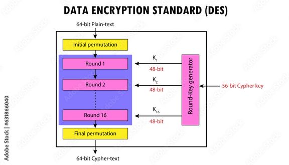 Mobile Threat Management: The New Frontline of Enterprise Security- immagine 1