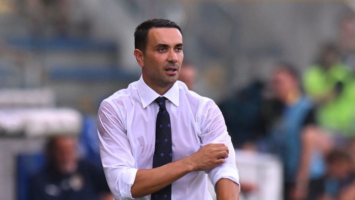 Raffaele Palladino Fiorentina