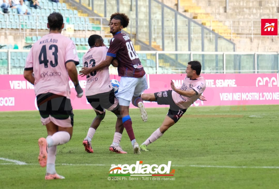 FOTO Palermo-Reggiana Serie B 2024/25 - immagine 36