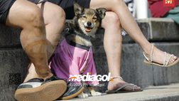FOTO, Ritiro Palermo: i primi tifosi a Chatillon, c’è anche un cane rosanero