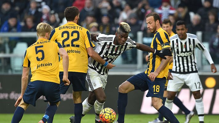 LE PAGELLE, GOLLINI NOTA LIETA, DIFESA INCERTA, ALI SPENTE LE PAGELLE, GOLLINI NOTA LIETA, DIFESA INCERTA, ALI SPENTE - immagine 1