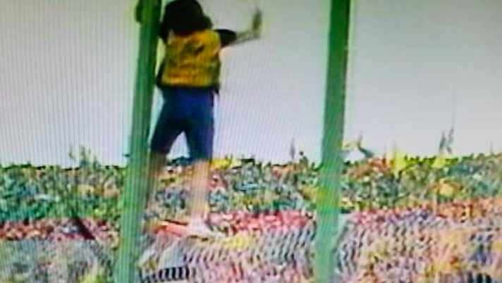 Quel giorno a Bergamo, i tifosi: “Furono lacrime di gioia: non smetteremo mai di festeggiare lo Scudetto”  Quel giorno a Bergamo, i tifosi: “Furono lacrime di gioia: non smetteremo mai di festeggiare lo Scudetto” - immagine 1