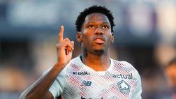 David, il Napoli fa sul serio: offerta da capogiro per l’attaccante del Lille