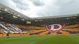 Assurdo in Germania, i gabbiani ‘mangiano’ il campo d’allenamento della Dynamo Dresda