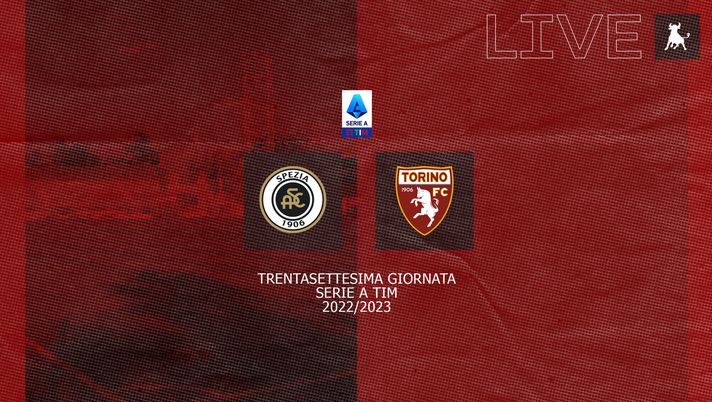 FINALE! Spezia-Torino 0-4 - immagine 1
