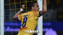 Bari-Palermo, Maiello: “Gol annullato ai rosa? Giusto così. Umiltà la nostra base…”