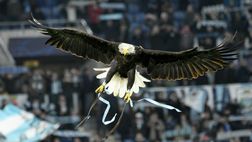 Lazio, il nome della nuova aquila: Flaminia ampiamente in testa