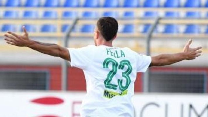 Mercato Padova, con il Palermo discorso aperto anche per Fella - immagine 1
