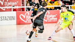 Vinumitaly Petrarca-Italservice Pesaro 1-2, highlights e interviste