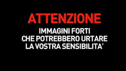 VIDEO / Colpito da una lattina a fine partita. Il ct del Messico lascia il campo sanguinante