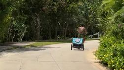 VIDEO / Relax per i giocatori dell’Inter, Lautaro Martinez non si riposa: “Altro che vacanze”