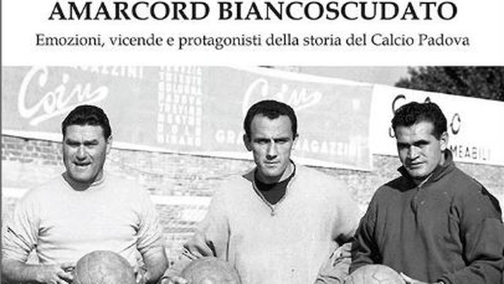 In uscita il libro di Alessandro Vinci “Amarcord Biancoscudato”. Vendite già domenica allo stadio - immagine 1