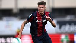 Fantacalcio Bologna, altro ko per Italiano: si ferma Holm. Ecco i tempi di recupero