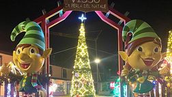 Vota l’albero di Visso: sosteniamo la magia del Natale