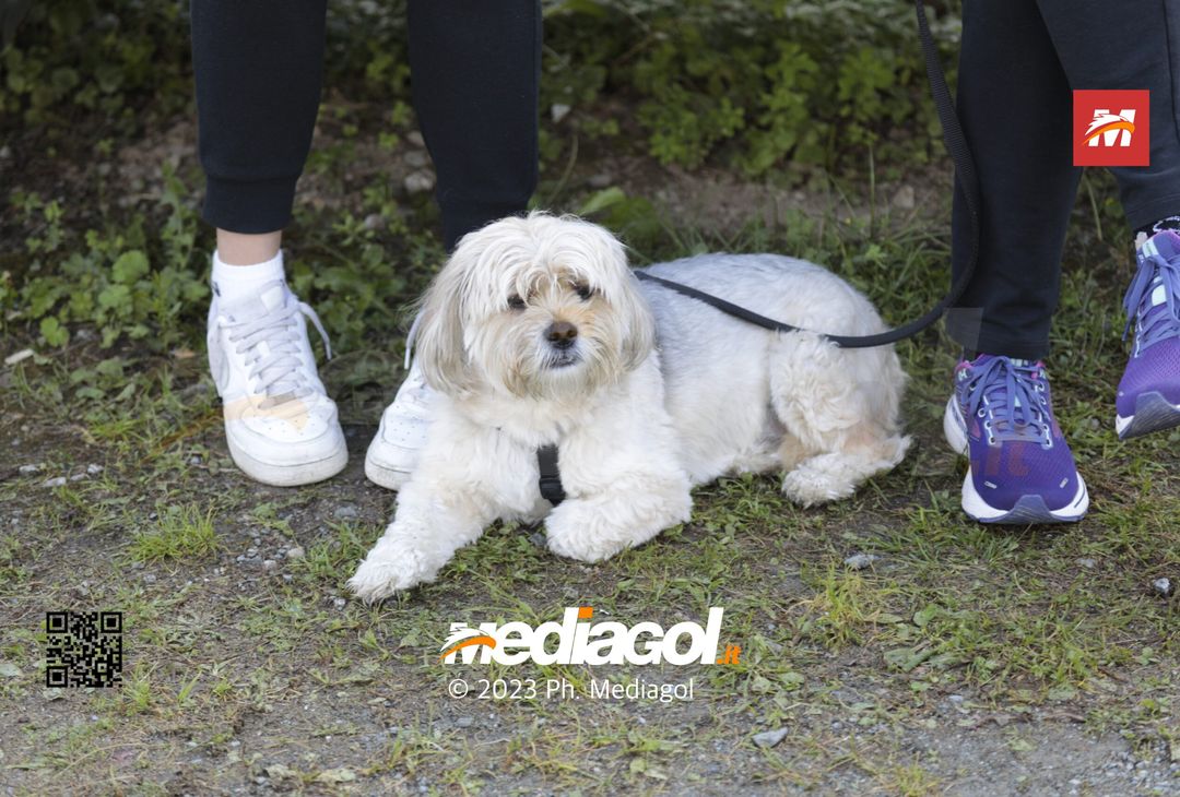 FOTOTIFO Gli scatti dei tifosi presenti per Palermo-Legnago 1-1 - immagine 65
