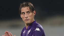 ANSA – Bove sottoposto a una tac: si tratterebbe di crisi epilettica