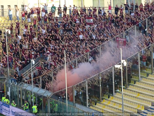 Viali: “La non reazione è ingiustificabile. L’espulsione? Allucinante”- immagine 2