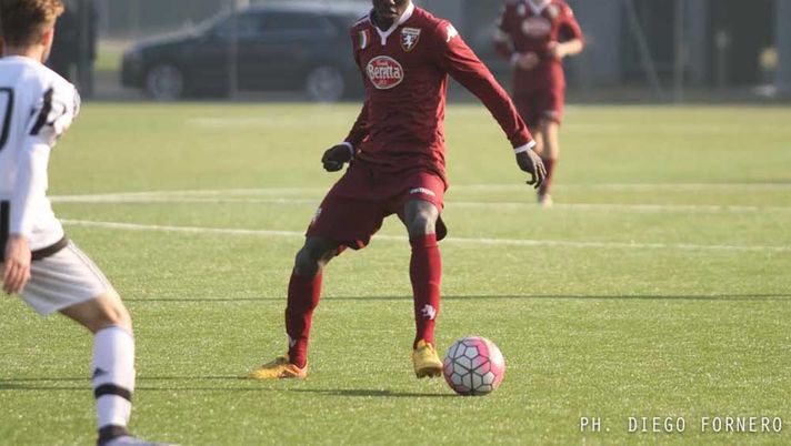 Boubacar, Toro, Primavera