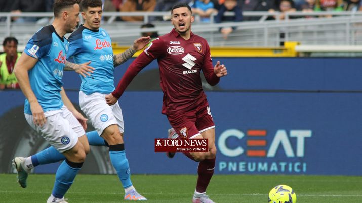 Toro, Radonjic si candida per il Sassuolo: ancora in dubbio Miranchuk e Karamoh Toro, Radonjic si candida per il Sassuolo: ancora in dubbio Miranchuk e Karamoh - immagine 1