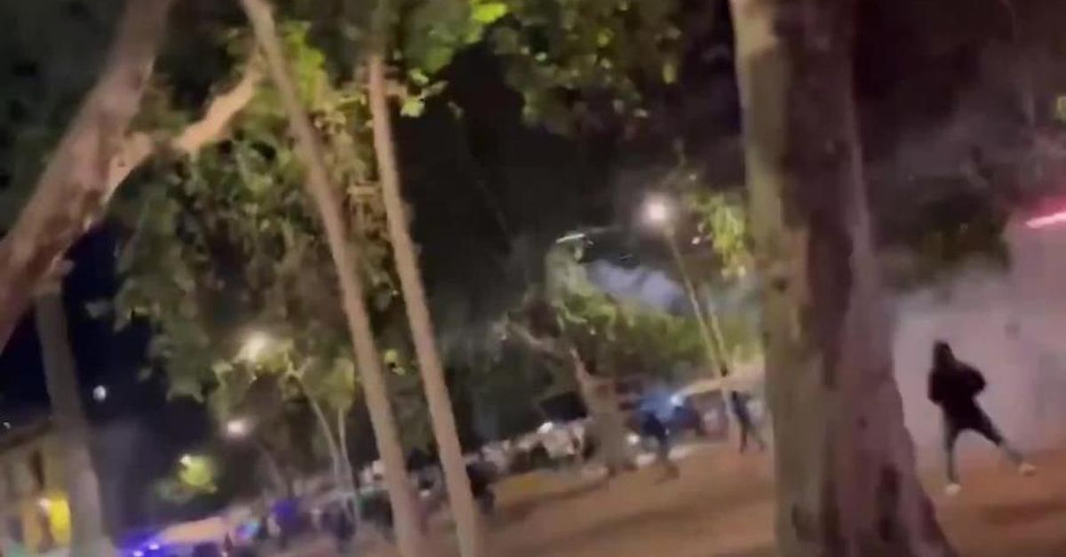Betis Fiorentina, nella notte scontri tra tifosi: caos a Siviglia | VIDEO Betis Fiorentina, nella notte scontri tra tifosi: caos a Siviglia | VIDEO